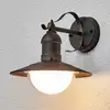 Image de Applique d'extérieur LED Lindby Clea, largeur 24 cm, métal