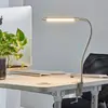 Image de Lindby lampe à pince LED Lionard, 53 cm, nickel mat, métal