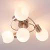 Image de Lindby plafonnier Ciala, 43 cm, à 4 lampes, couleur nickel, verre