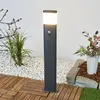Image de Bornes lumineuses LED Lindby Obri, 80 cm, anthracite, capteur