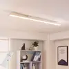 Image de Arcchio Panneau LED Arya, 120 cm, blanc, intensité variable, aluminium