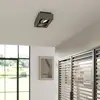 Image de Arcchio spot pour plafond Ronka, 34 cm, à 2 lampes, gris, GU10