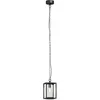Image de Lucande Luminaire extérieur Ferda à intensité variable (Moderne) en Noir Aluminium (1 lampe,à E27), Suspension