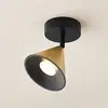 Image de Lucande Kartio plafonnier, 1 lampe, laiton
