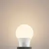 Image de Amploule LED Arcchio E27 A60 4,9 W, opale, 3 000 K, 480 lm