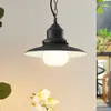 Image de Lindby, suspension d'extérieur Roisin, anthracite, métal, Ø 32 cm