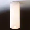 Image de Top Light Plafonnier Dela, E27, blanc, verre, Ø 6,5 cm
