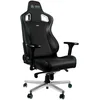 Image de noblechairs Epic Gaming Chair, Chaise de Bureau, Fauteuil de Bureau, Hybrid PU Leather, Siege Ergonomique - Mercedes-AMG Petronas, Chaise de Bureau Ergonomique, Formula One Team 2021 Edition