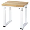 Image de STIER Établi électrique réglable en Hauteur Premium L × P × H 750×700×740-1140 mm