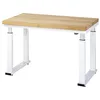 Image de STIER Banc de Travail électrique réglable en Hauteur Premium L × P × H 1250x700x740-1140 mm