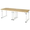 Image de STIER Établi électrique réglable en Hauteur Premium L × P × H 2500×900×740-1140 mm