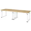 Image de STIER Établi électrique réglable en Hauteur Premium L × P × H 3000×900×740-1140 mm