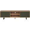 Image de Meuble TV - SENTRA - 2 portes 2 niches - Vert foncé - 184 x 40 x 52 cm - TRENDTEAM