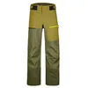 Image de ORTOVOX 3L Ravine Shell Pants M, 70861, Wild Herbs, L