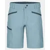 Image de PELMO SHORTS W C: glacier grey S: M