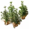 Image de Loberon Lot de 4 sapins décoratifs Millies, Vert/Marron