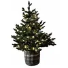 Image de Loberon Sapin décoratif Mantilly, Vert
