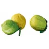 Image de Loberon Lot de 2 Citrons décoratifs Ginny, Jaune