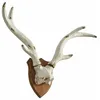 Image de Loberon Bois de cerf décoratifs Talim, Blanc