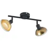 Image de Lindby Spot Erin en Noir Métal e. a. pour Salon & Salle à manger (à 2 lampes, GU10) Plafonnier lampe