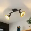 Image de Lindby spot pour plafond Erin, noir/or, 2 lampes, verre