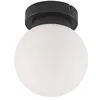 Image de Lindby Plafonnier Salle De Bain Tavino à intensité variable (Moderne) en Noir Métal e. a. pour Salon & manger (1 lampe,à E14), WC Luminaire Lampe Plafond Eclerage