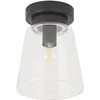 Image de Lindby Plafonnier Salle De Bain Carmalin à intensité variable (Moderne) en Noir Métal e. a. pour Salon & manger (1 lampe,à E14), WC Luminaire Lampe Plafond Eclerage