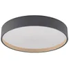 Image de Lindby LED Plafonnier Todor à intensité variable (Moderne) en Noir e. a. pour Salon & Salle manger (1 lampe,à), Eclairage Lampe Luminaire Plafond Eclerage