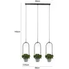 Image de Lindby Orna suspension à 3 lampes ampoule fleur