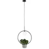 Image de Lindby Suspension Orna à intensité variable (Moderne) en Noir Métal e. a. pour Salon & Salle manger (1 lampe,à G9), Luminaire Lampe Plafond Plafonnier Suspendue