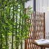 Image de Lindby Guirlande lumineuse LED Kaloyan, 100 lampes, 1,2 m