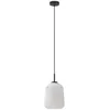 Image de Lucande Suspension Lirien à intensité variable (Moderne) en Noir Aluminium e. a. pour Salon & Salle manger (1 lampe,à E27), Luminaire Lampe Plafond Plafonnier