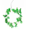 Image de Lindby LED Guirlandes lumineuses Motje en Vert e. a. pour Salon & Salle à manger (à 30 lampes,), Pour l’intérieur