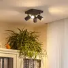 Image de Lindby spot pour plafond Jorell, noir, 20 cm, noir, 4 lampes