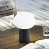Image de Lindby lampe de table LED rechargeable Zelie, noir, aluminium, IP44