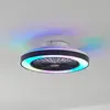 Image de Lindby Ventilateur de plafond LED Teleo, Ø48 cm, noir, DC, Tuya
