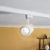 Image de Arcchio Projecteur à LED sur rail Nanna, 3000K, blanc, DALI