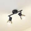 Image de Lindby, plafonnier Pendura, à 2 lampes, noir, verre