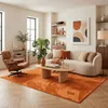 Image de Tapis Shaggy Luxe Ultra Doux Moelleux pour Salon & Chambre Melia Orange