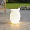 Image de Luminaire LED rechargeable Lindby Errol, chouette, blanche, RGBW, IP54