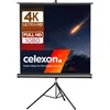 Image de celexon Economy Écran de projection trépied noir 110" | 244x138 cm 16:9 | Écran mobile & transportable 4K, Full-HD avec enrouleur manuel pour Home Cinéma, bureau et l'extérieur | Pied + poignée inclus