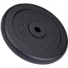 Image de ScSPORTS Disque d'haltères en fonte 25 kg