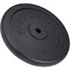 Image de ScSPORTS Disques d'haltères en fonte 30 kg
