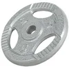 Image de Gorilla Sports Disque de Musculation en Fonte 5 kg