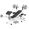 Image de GORILLA SPORTS® Banc de musculation multifonction - Avec kit d'haltères de 108 kg - Réglable - Avec plateau d'haltères, curlpult et Butterfly - Station de dip - Banc de musculation