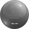 Image de Ballon de gym 65cm - Coloris aléatoire