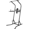 Image de Gorilla Sports GS038 Station de Traction/Chaise Romaine