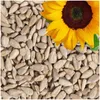 Image de 25 kg de graines de tournesol décortiquées pour oiseaux Aliments pour oiseaux sauvages