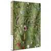 Image de Cendrillon DVD en occasion ou reconditionné