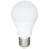 Image de Bioledex Ampoule LED Araxa, E27, 9W, AC/DC, 2.700K